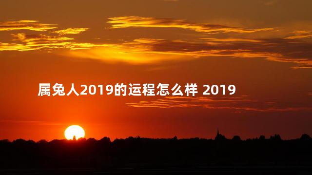 属兔人2019的运程怎么样 2019年属兔人的每月运势